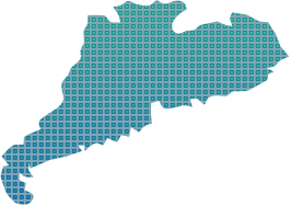 Lazy loaded image