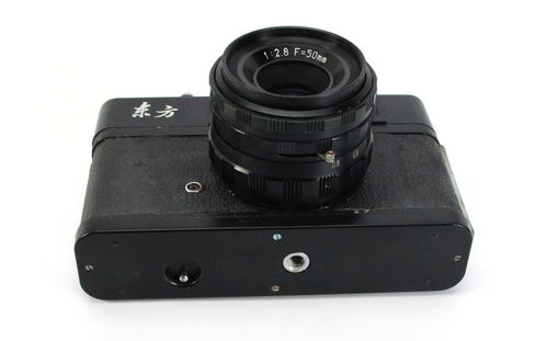 紅梅、虎丘、天鵝、寶麗萊25 50元二手區的相機尋寶記